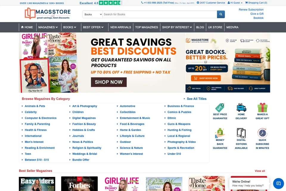 Screenshot of the MagsStore website (magsstore.com)